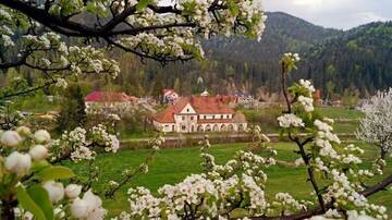Фотографии Виллы Sadyba Vyshenka г. Татаров (Украина) №3 Фото Виллы Sadyba Vyshenka г. Татаров 3